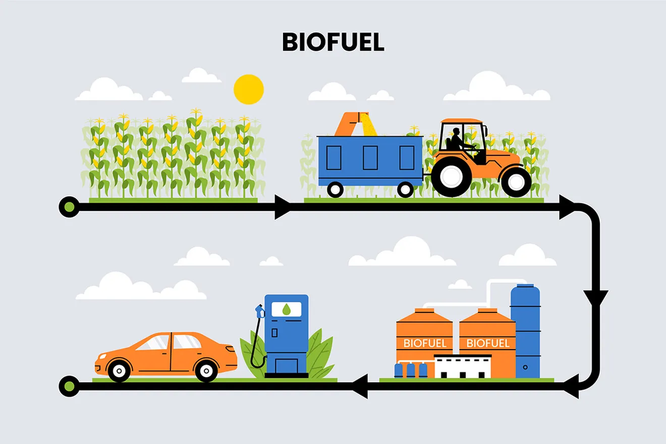 Qué son los biocombustibles y en qué se diferencian de los e-fuels