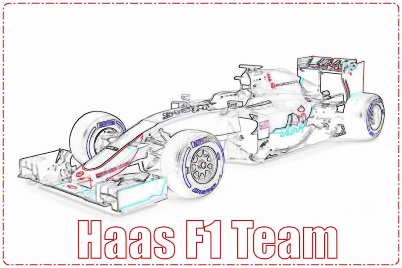 Análisis comparativo 2015/2016: Haas