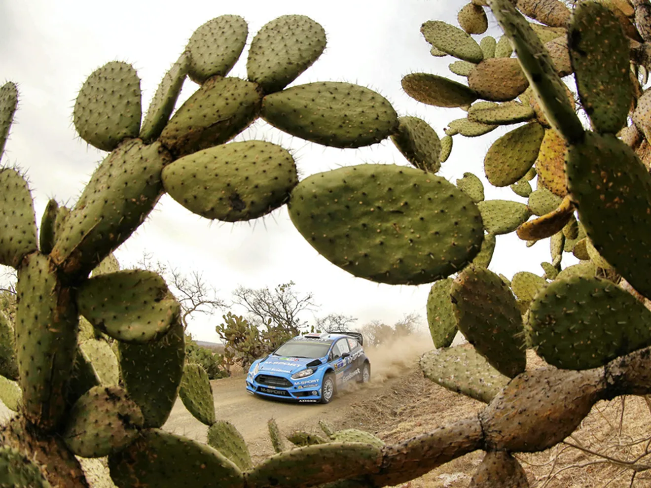 El Rally de México suprime el tramo más largo del WRC