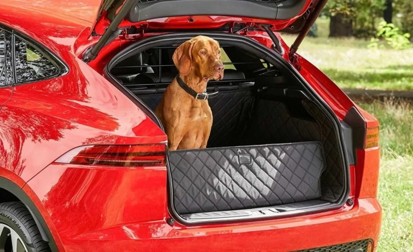 Los accesorios de Jaguar para que las mascotas viajen en el coche