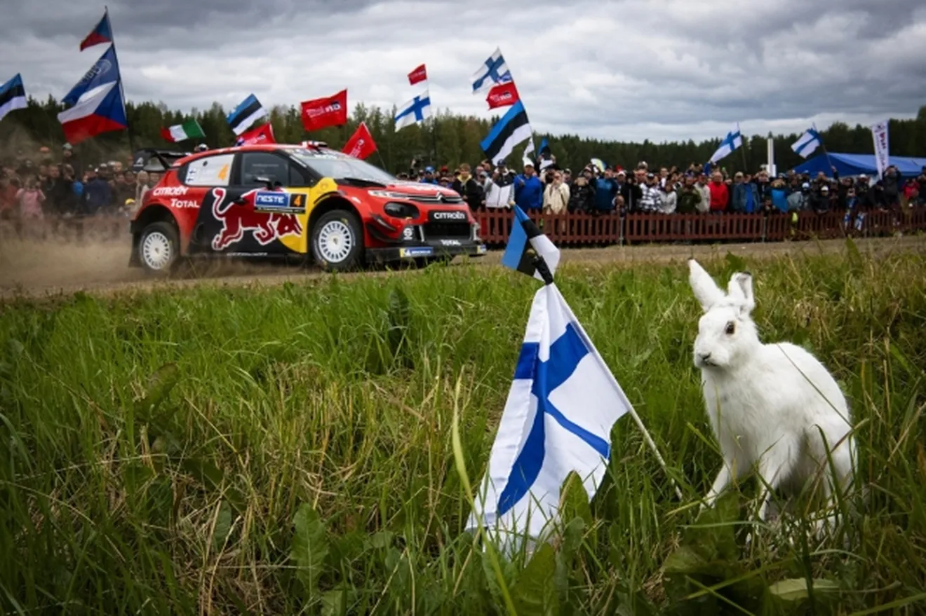 El calendario de 2020 del WRC se aclara, aun sin borrador