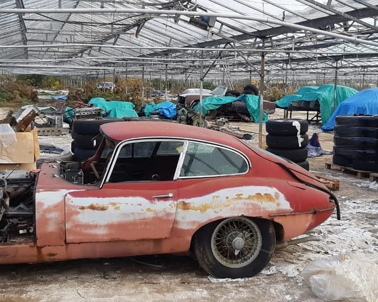 Rescatados cerca de 30 Jaguar clásicos abandonados en un invernadero