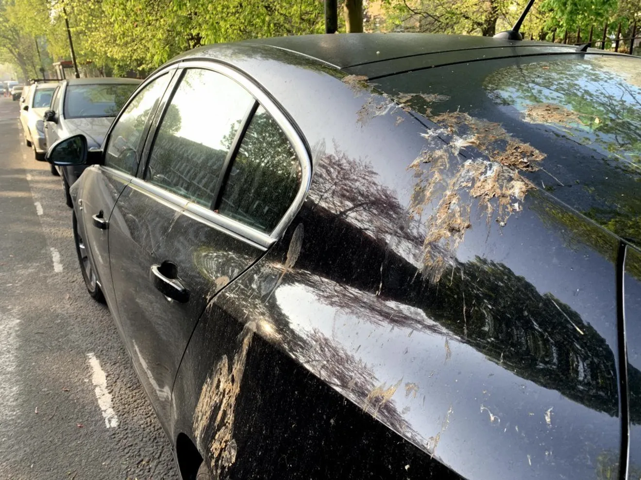 Ford utiliza los excrementos de pájaros para estudiar los daños en los coches