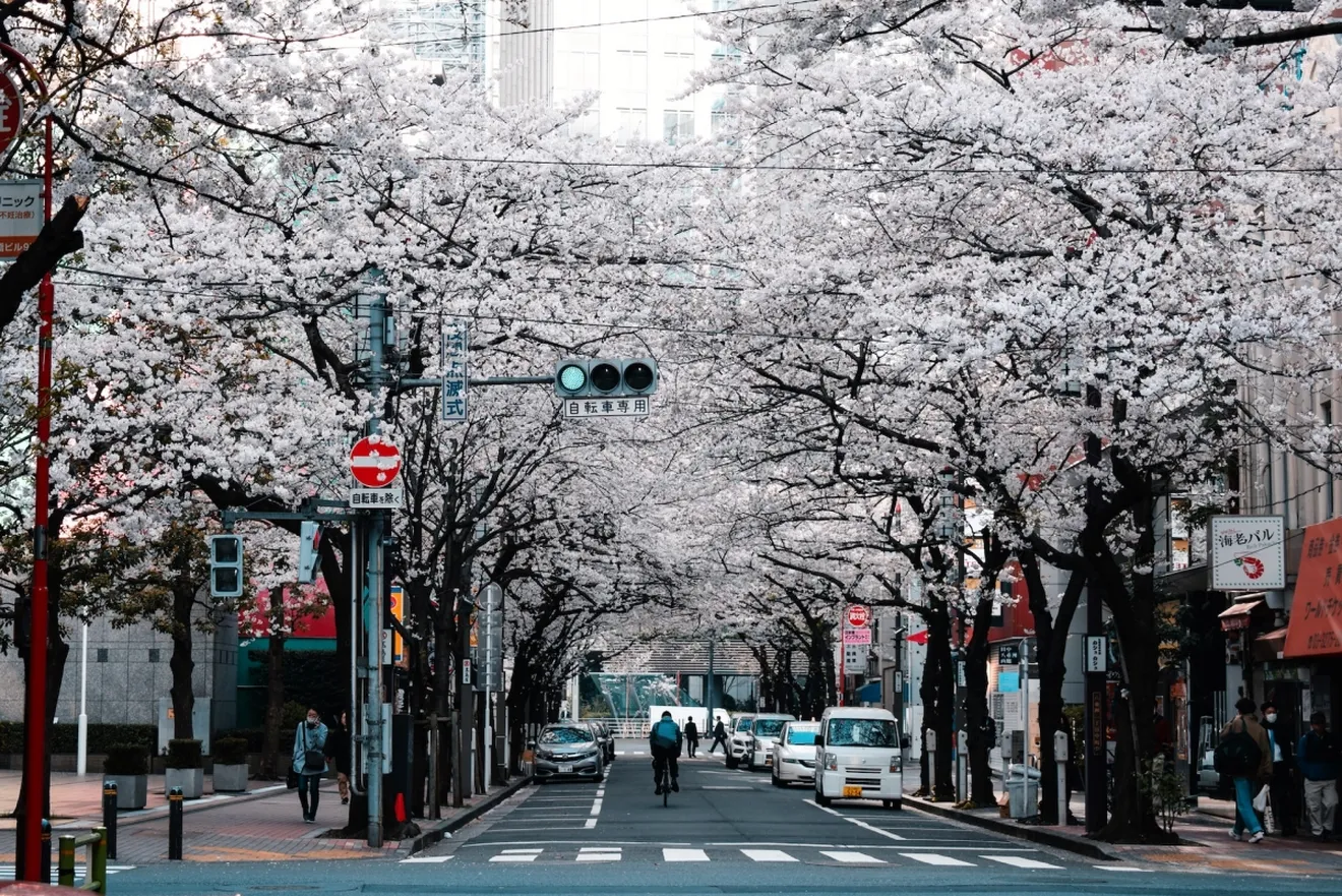 Imagina que paras en un semáforo y tu coche eléctrico se carga mientras tanto. En Japón ya lo hacen