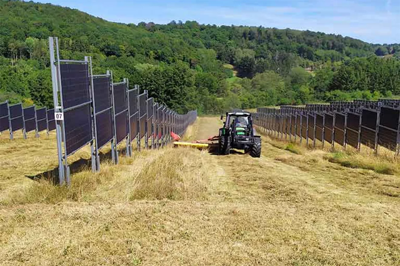 Los paneles solares verticales de doble cara, la nueva solución en auge para impulsar la energía agrovoltaica en el campo