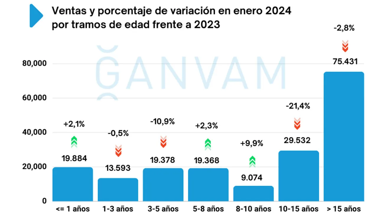 Ventas de coches de ocasión en España en enero de 2024