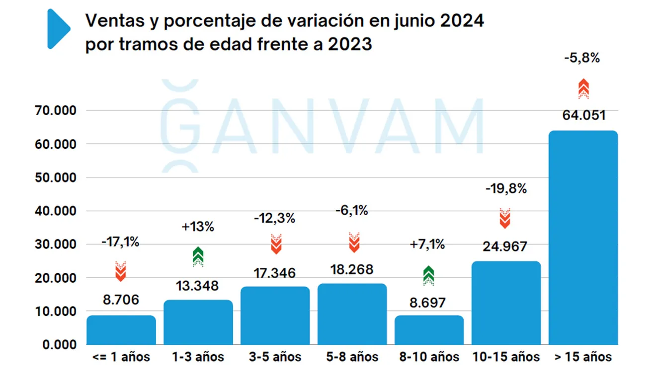 Ventas de coches de ocasión en España en junio de 2024