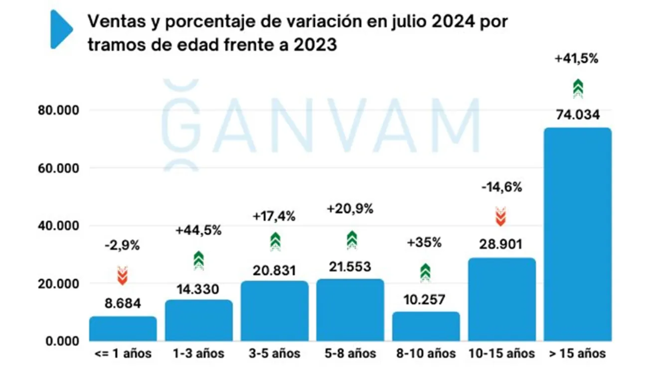 Ventas de coches de ocasión en España en julio de 2024