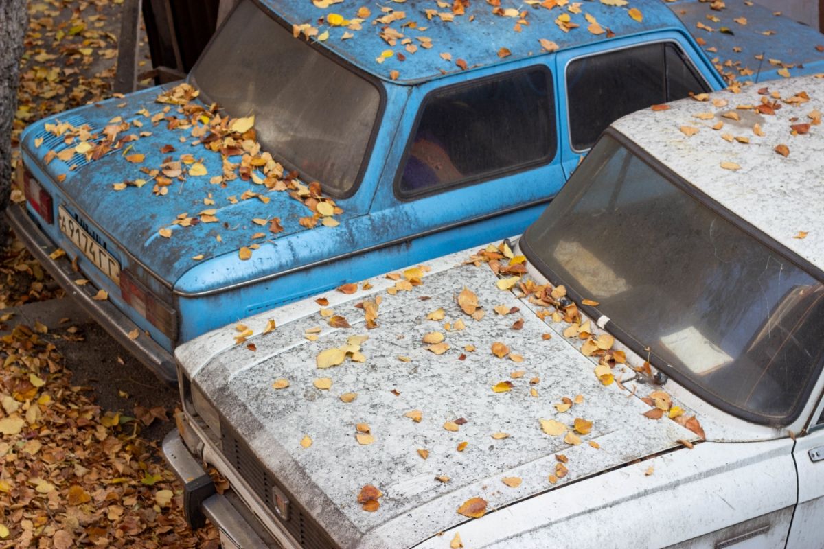 Qué es un Coche Okupa y qué hace la DGT cuando encuentra uno