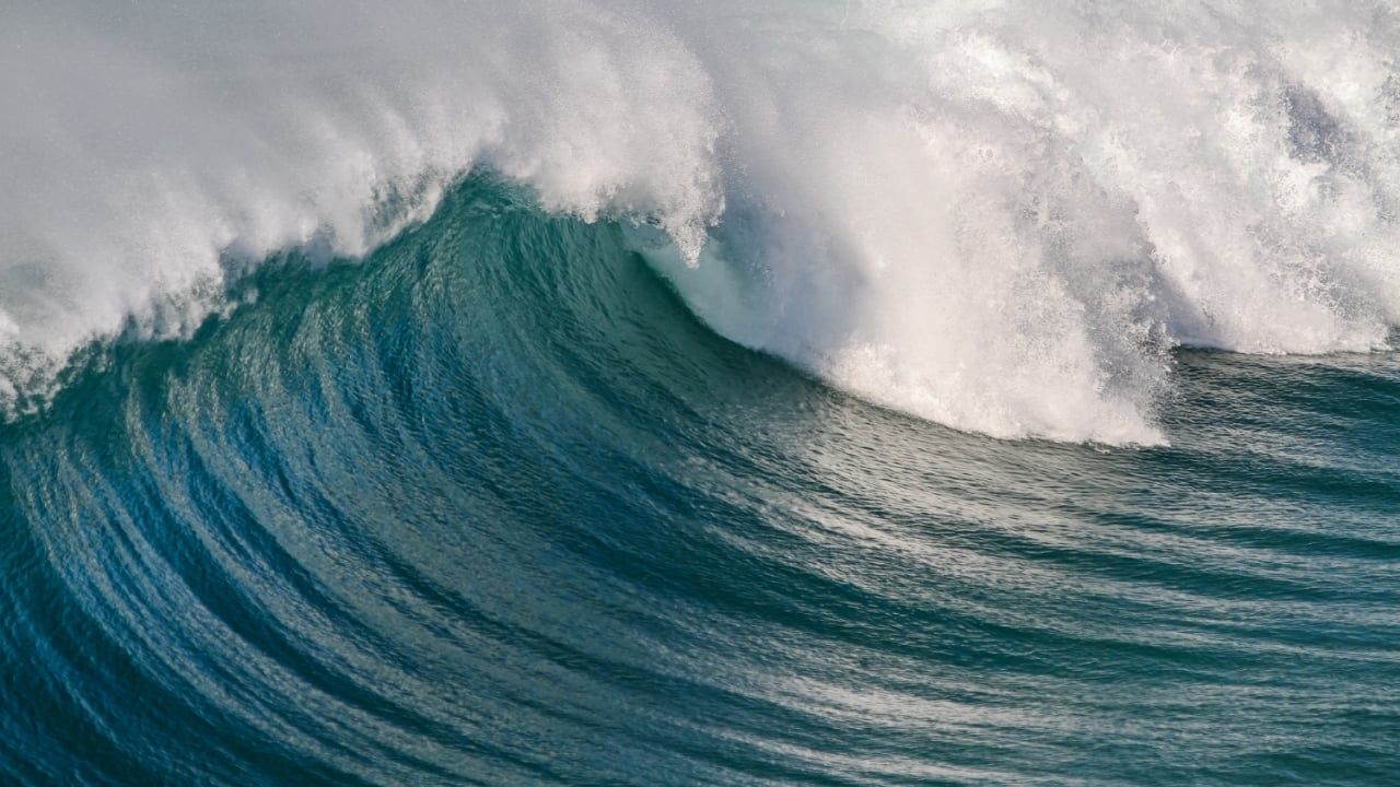 Qué es la energía undimotriz y en qué se diferencia de la mareomotriz