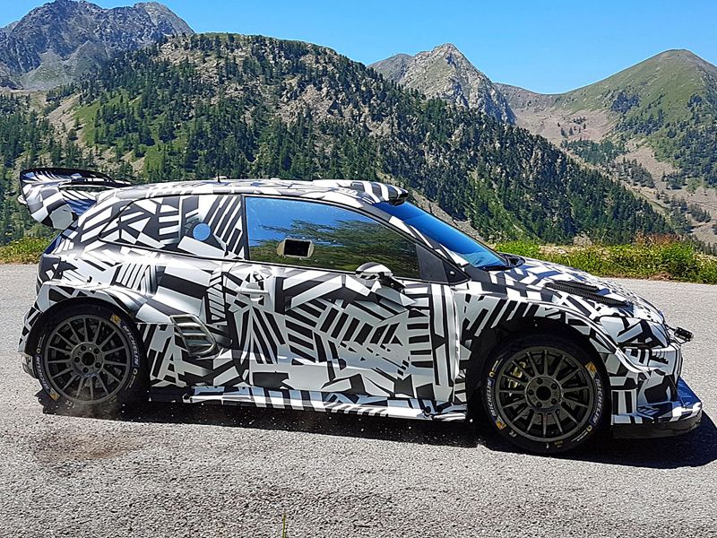 El neumático como limitante de los World Rally Car 2017