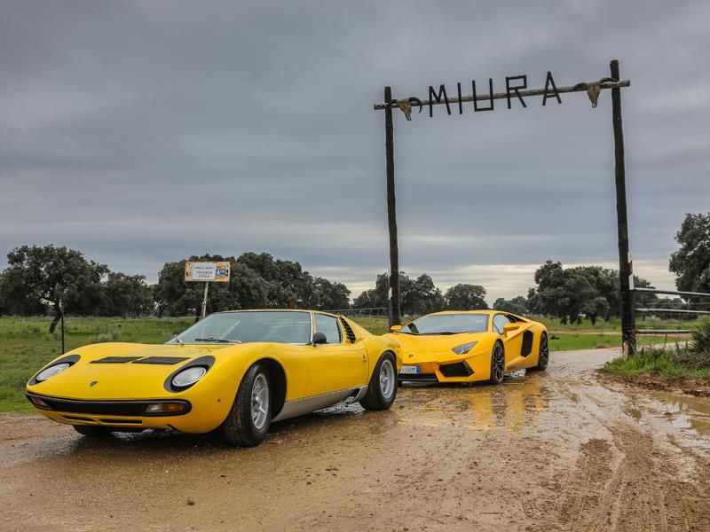 Lamborghini Miura: Retorno a la finca andaluza de los Miura para conmemorar los 50 años del modelo