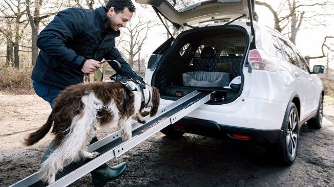 Nissan X-Trail 4Dogs