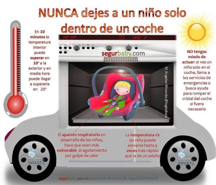 Evita los golpes de calor en niños y mascotas a bordo de un coche