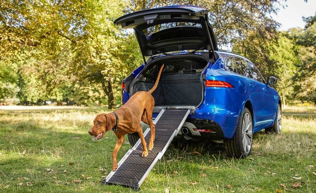 Jaguar quiere que nuestras mascotas viajen seguras y cómodas en el coche