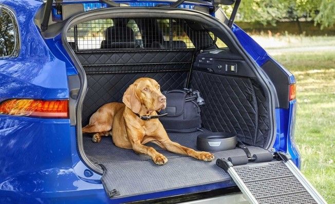 Los accesorios de Jaguar para que las mascotas viajen en el coche