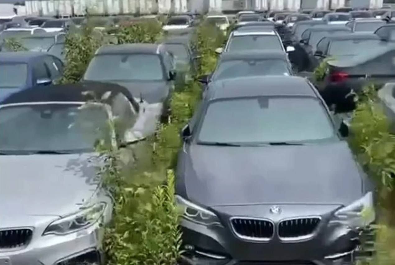 ¿El desguace más caro del mundo? Unos 3.000 BMW y MINI se pudren al sol en Canadá