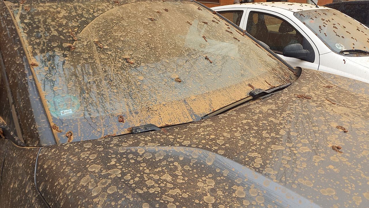 Coche cubierto de polvo y barro tras un episodio de calima