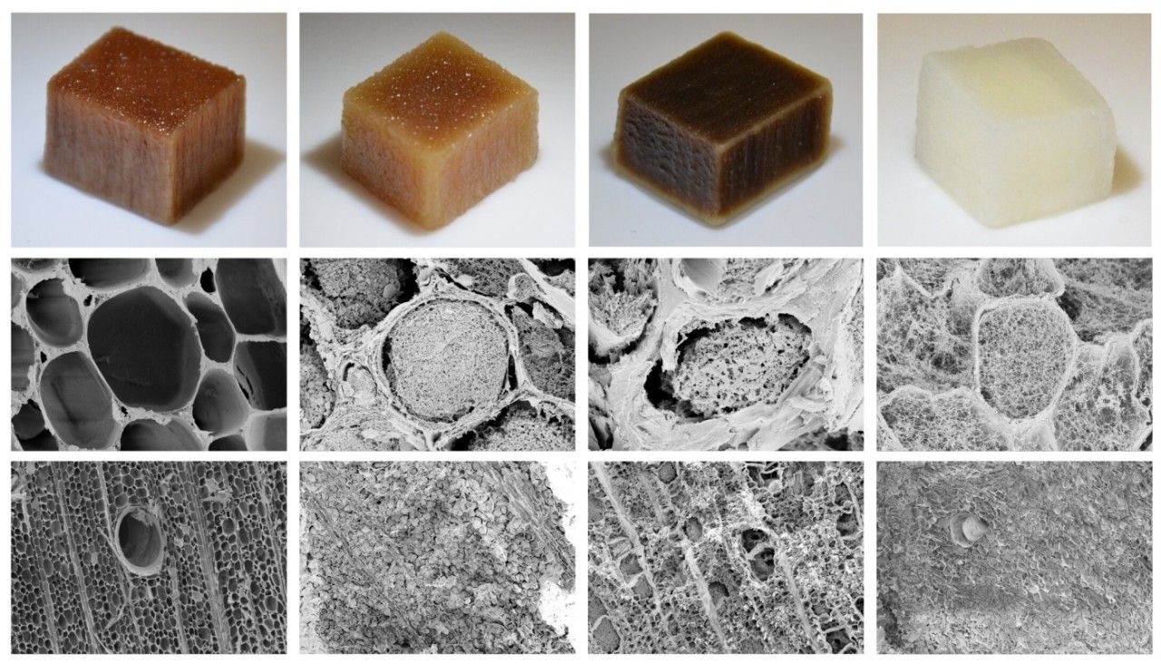 Producir electricidad con madera y agua: así lo hacen estos investigadores del KTH