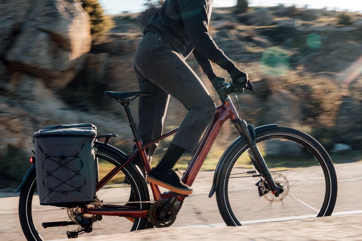 Estas son las razones que animan a los españoles a comprar una bici eléctrica (estaba cantado)