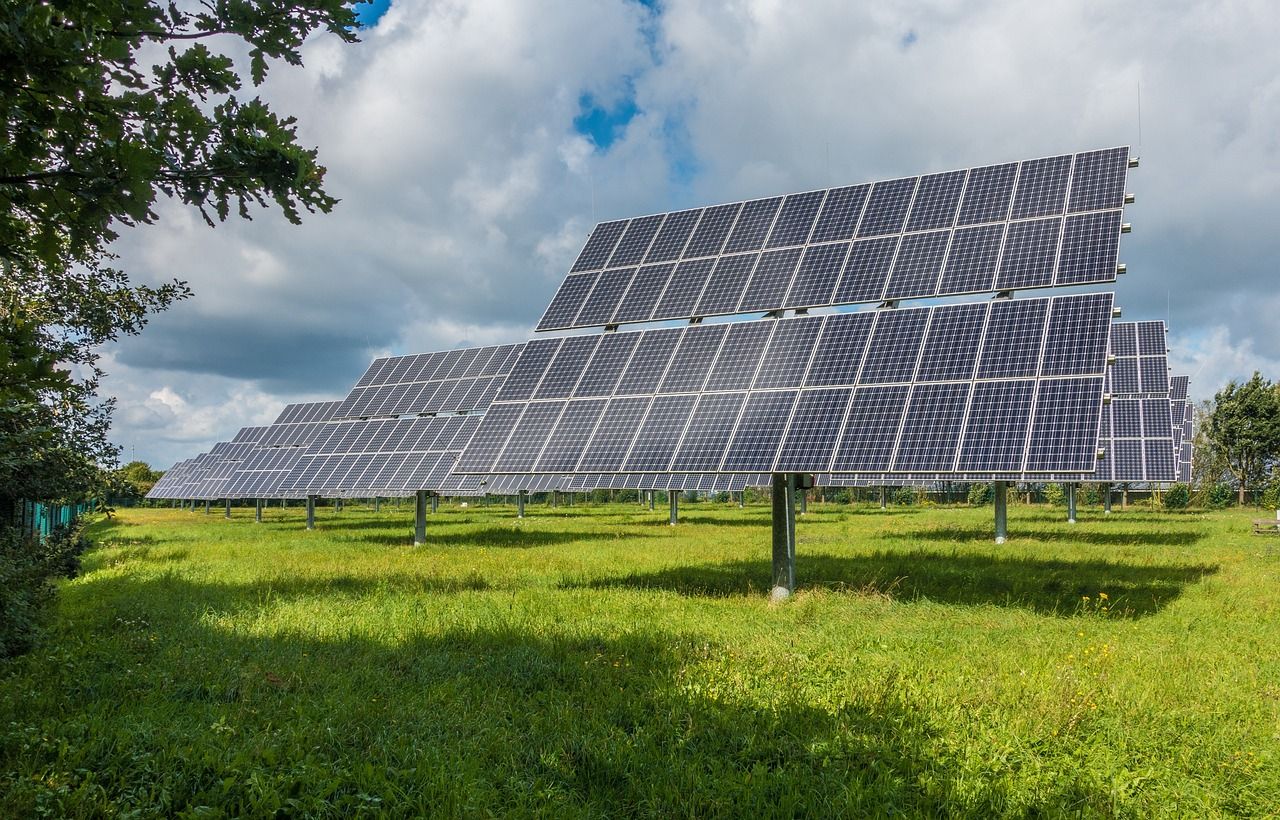 Un estudio afirma que instalar paneles solares es más eficaz que plantar árboles en la lucha contra el cambio climático