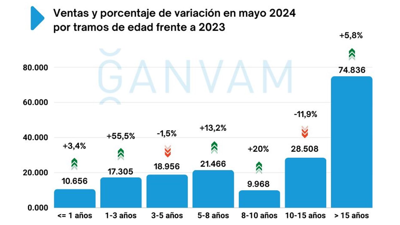 Ventas de coches de ocasión en España en mayo de 2024