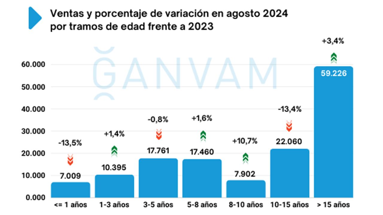 Ventas de coches de ocasión en España en agosto de 2024