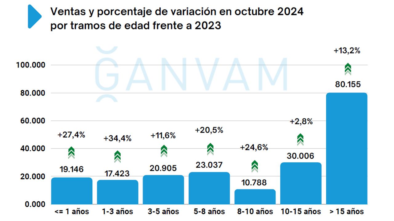 Ventas coches de ocasión en España en octubre de 2024