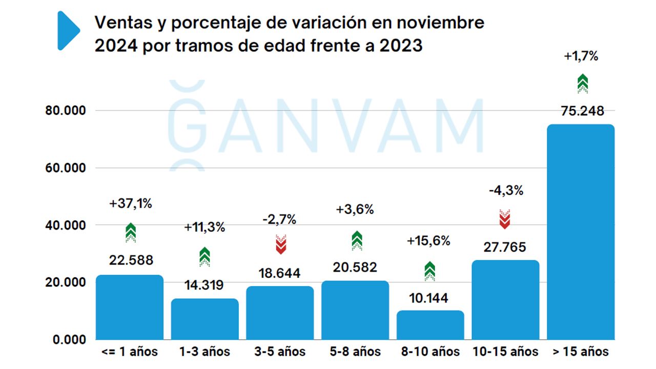 Ventas de coches de ocasión en España en noviembre de 2024