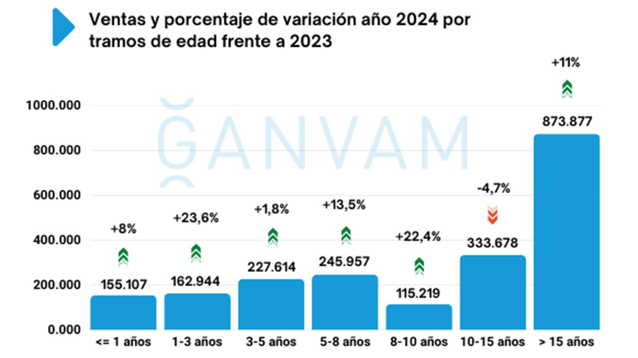 Ventas de coches de ocasión en España en diciembre de 2024