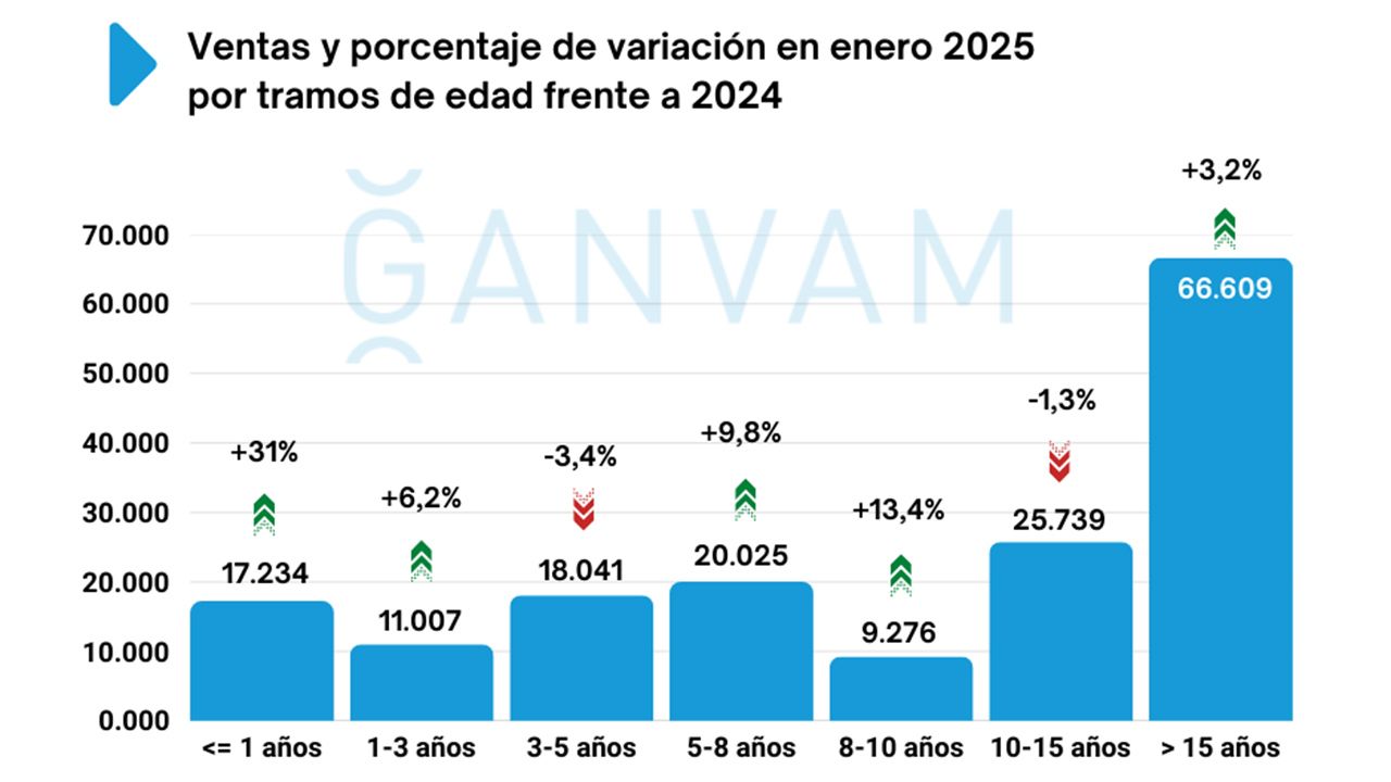 Ventas de coches de ocasión en España en enero de 2025