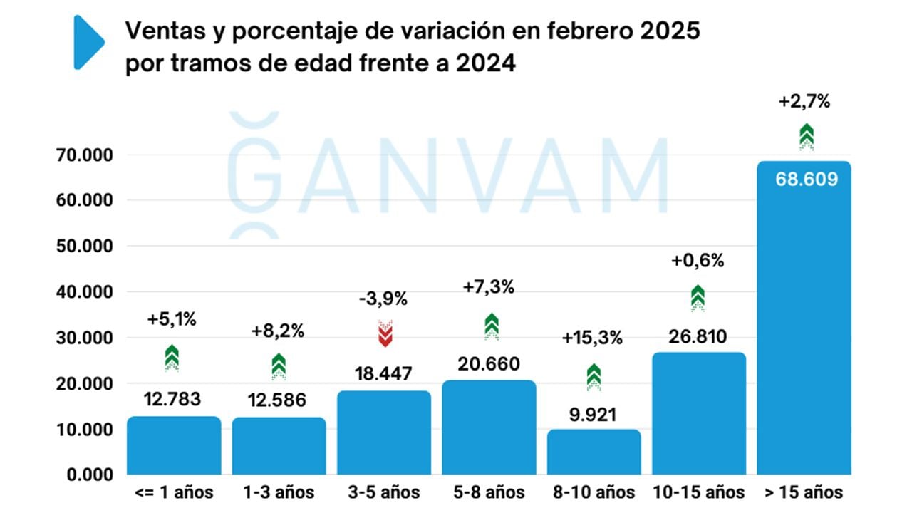 Ventas de coches de ocasión en España en febrero de 2025