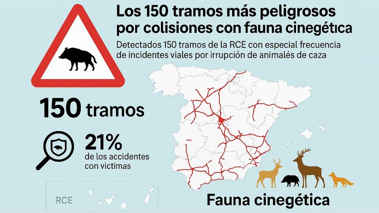 Ten cuidado, si circulas por estas carreteras tienes mayor riesgo de accidente con animales de caza