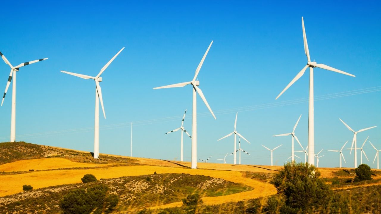 Con la nueva ley, tres colisiones de aves protegidas bastarán para desmontar un aerogenerador eólico