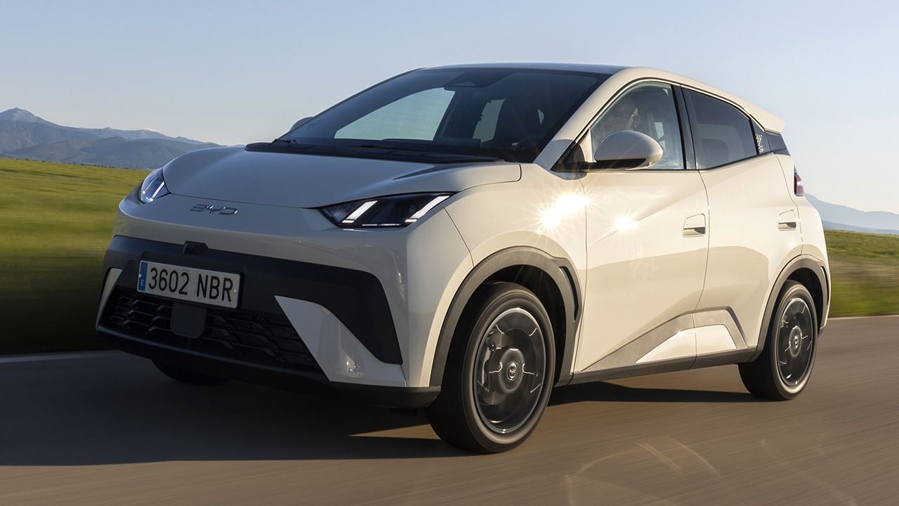 BYD Dolphin Surf