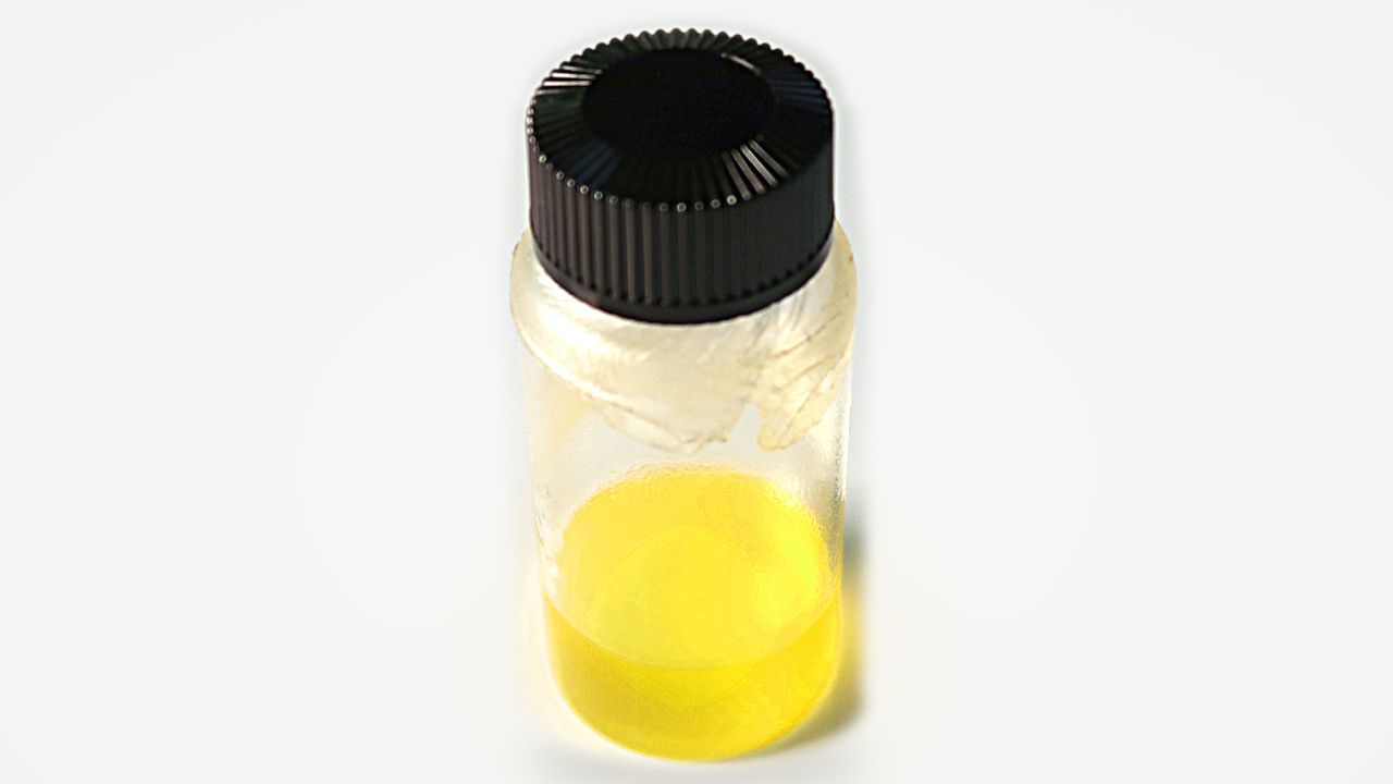 Polvo de microalgas creado por Mazda