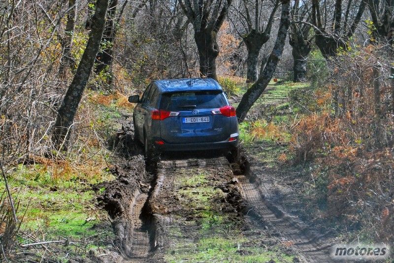 Toyota RAV4 2013 offroad