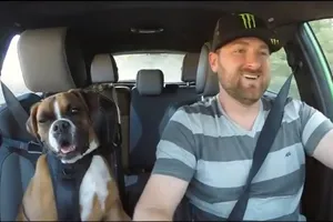 Un Fiesta ST, Vaughn Gittin Jr y su perro