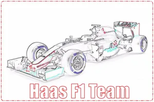 Análisis comparativo 2015/2016: Haas