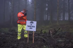 La Phytophthora obliga a cambiar el Rally de Gales