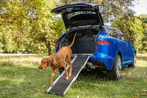 Jaguar quiere que nuestras mascotas viajen seguras y cómodas en el coche