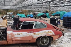 Rescatados cerca de 30 Jaguar clásicos abandonados en un invernadero