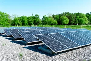 Los datos que afirman que una granja solar de 1 hectárea elimina 410 veces más CO2 que una de bosque