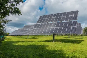 Un estudio afirma que instalar paneles solares es más eficaz que plantar árboles en la lucha contra el cambio climático