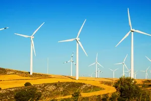 Con la nueva ley, tres colisiones de aves protegidas bastarán para desmontar un aerogenerador eólico