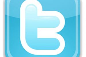 Lo nuevo de TomTom incluye una versión adaptada de Twitter