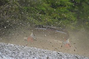 Sébastien Ogier cierra el WRC con victoria en Gales