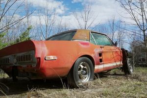 Descubierto uno de los Mustang más caros de la historia abandonado en un campo