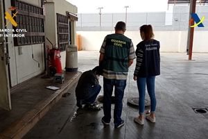 30 gasolineras "low cost" de Valencia distribuyeron gasóleo adulterado de una red criminal