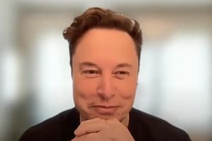 Elon Musk y Twitter: ¿la zorra al cargo de las gallinas?
